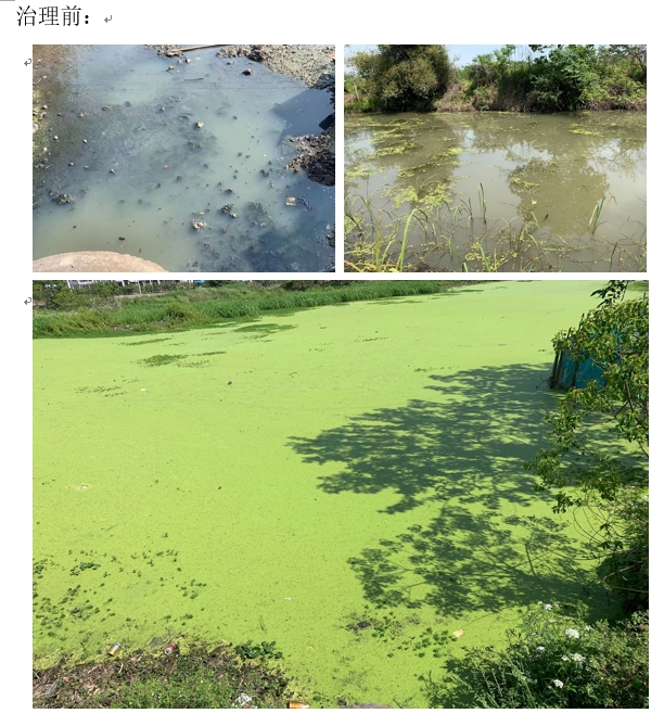 1713257046286609.png 臺州治理前.png